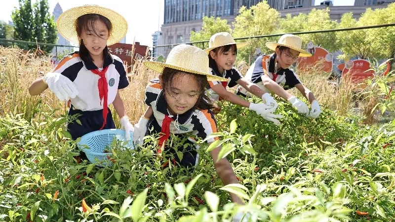 pg电子游戏官方网站天津校园丰收节：劳动作线串珠成链五育融合创新育人